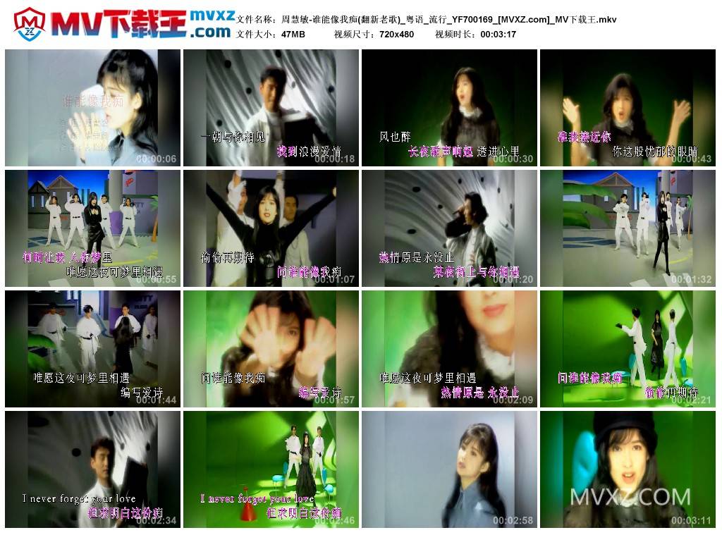 周慧敏-谁能像我痴(翻新老歌)_粤语_流行_YF700169